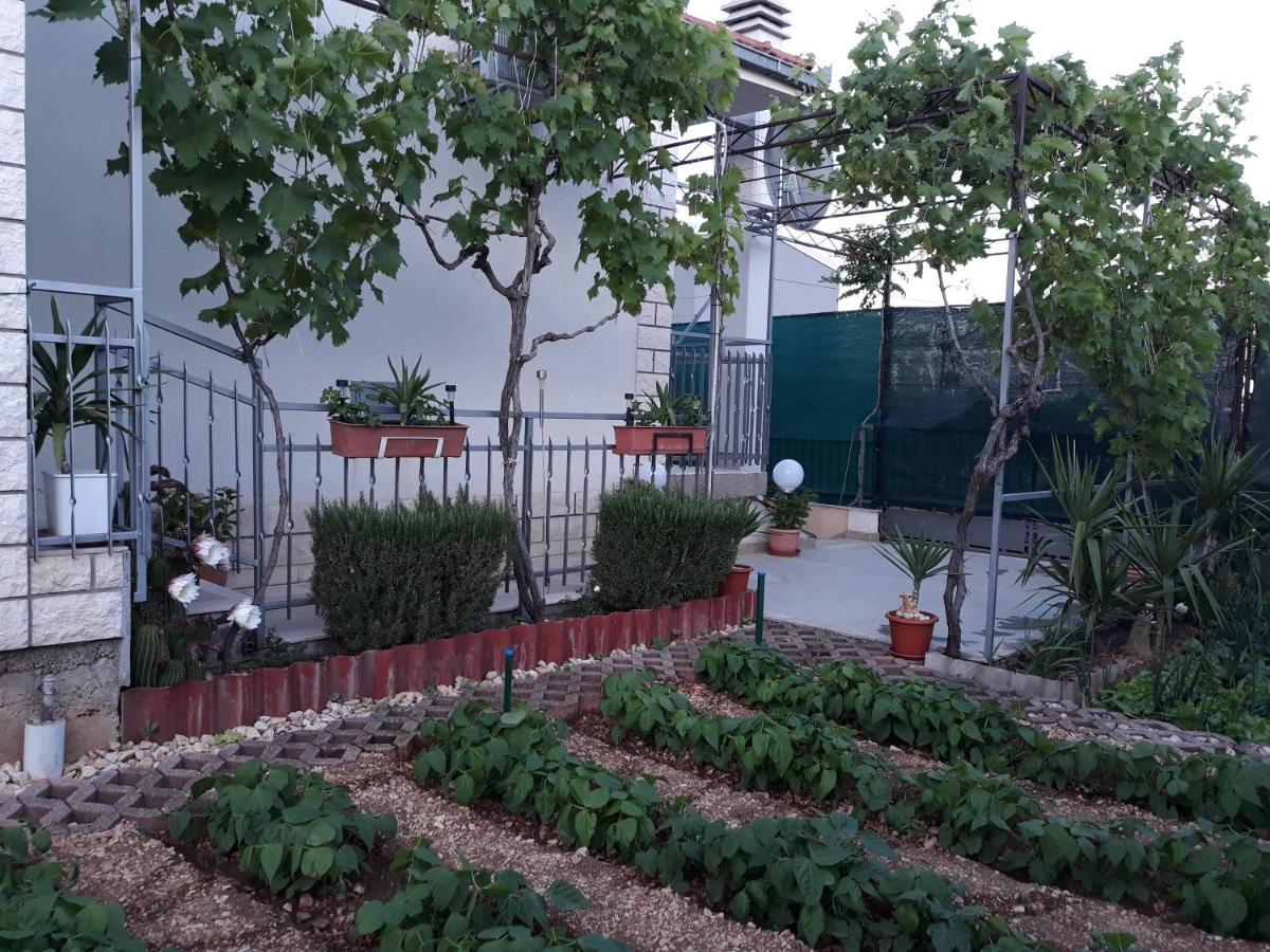 Quality Vila "Comfort" โตรกีร์ ภายนอก รูปภาพ